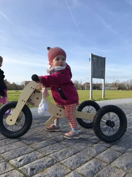 Trybike Loopfiets Hout 4-in-1 Roze -Speelgoed Kortingen Winkel image 2465