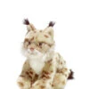 WWF Lynx Beige 23cm -Speelgoed Kortingen Winkel image 386