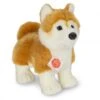 Hermann Teddy Knuffel Hond Shiba Inu Staand -Speelgoed Kortingen Winkel image 851